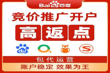某大型企业选择SEM竞价代运营公司的决策过程与效果评估